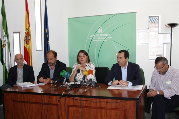 Junta de Andalucía, Cortés, Ruiz Espejo