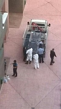 Éste es el momento en que llegan para llevarse a 'Excalibur', el perro de la enfermera con ébola