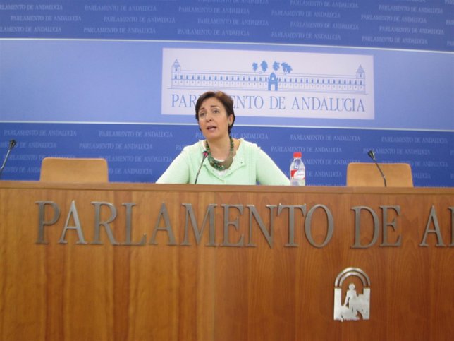 Ana Corredera en rueda de prensa en el Parlamento