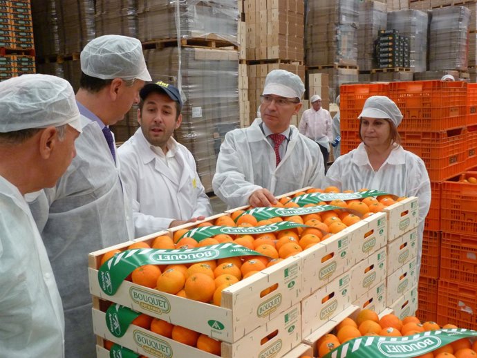 Los equipos ROCA han detenido o imputado a 826 personas