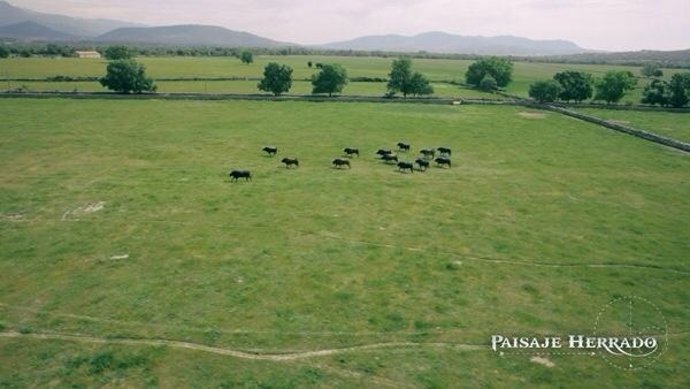 Fotograma de la serie documental 'Paisaje Herrado'