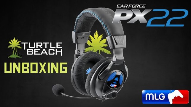 Turtle Beach