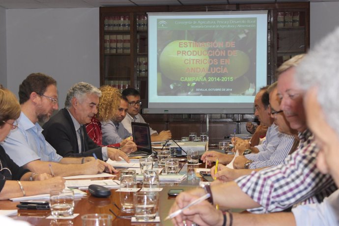 Mesa permanente de trabajo para el cultivo de cítricos en Andalucía.