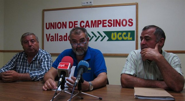 Los integrantes de UCCL analizan la vendimia en las DO de Valladolid