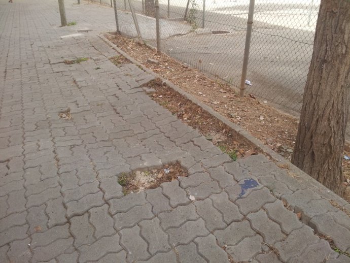 Degradación en Son Gotleu