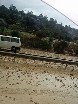 Zona de la A-12 afectada por los desprendimientos.