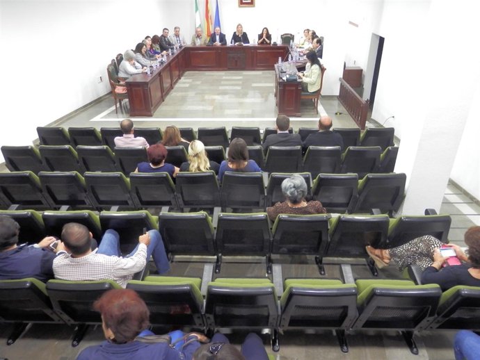 Pleno en el Ayuntamiento de La Zubia