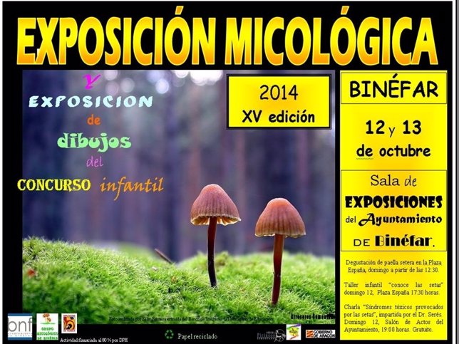 Exposición micológica en Binéfar.
