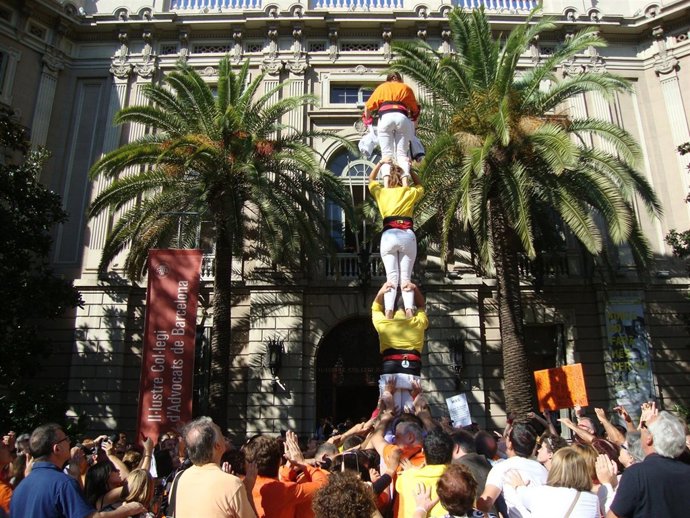 Los 'Engrescats' de la URL y Dincat levantan un 'catell'