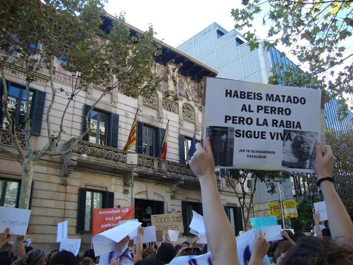 La manifestación ha reclamado los derechos de loas animales