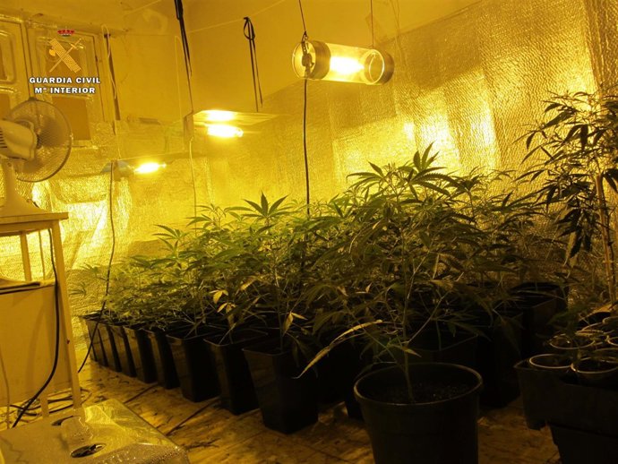 Laboratorio 'indoor'