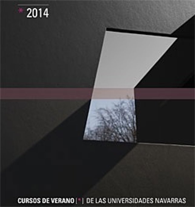 Cartel de los cursos de verano 2014.