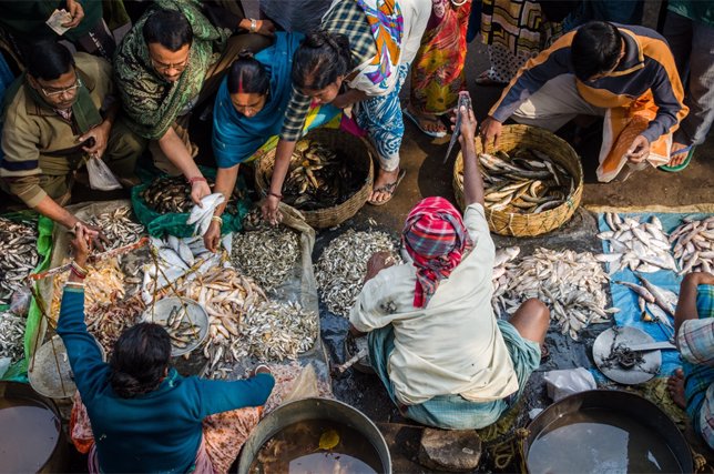 10.00---saumalya-ghosh---fish-market-web(1).jpg