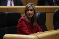 Mato asegura sentirse "apoyada" por el Gobierno y que sólo piensa en trabajar para mejorar el estado de Teresa