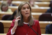 Ebola.- Mato assegura que es dedica "en cos i ànima" a la gestió de l'Ebola i presumeix de ser "la que més compareix"
