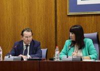 De Llera: "Los juzgados de lo mercantil están en una situación terrorífica"