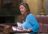 Madrazo resalta que los PGE de 2015 "refuerzan" las ayudas a las familias y personas más vulnerables