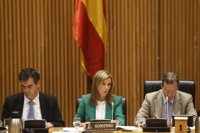 Mato pide no hacer "juicios de valor" ni "lecturas precipitadas" del contagio hasta no concluir la investigación