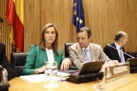 AMP.- Mato: "Probablemente no lo hemos hecho todo bien y había cosas que mejorar"