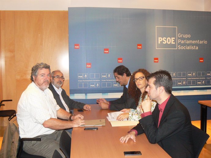 Equo y PSOE se reúnen en el Congreso 