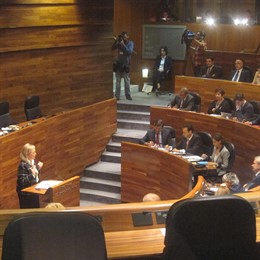 La presidenta del PP en Asturias, Mercedes Fernández, en la Junta General