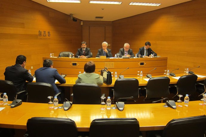 Comisión de Reforma  del Estatuto en las Corts.