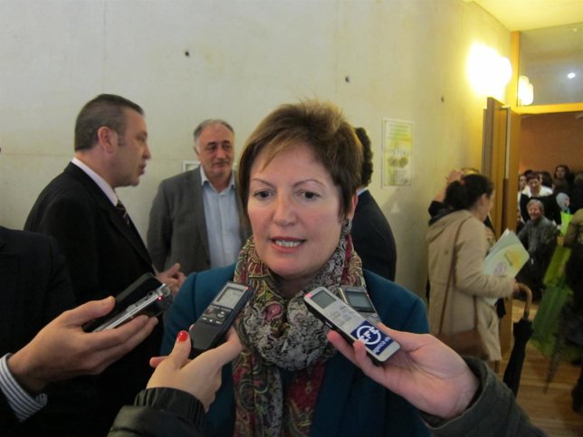 La conselleira de Sanidade, Rocío Mosquera