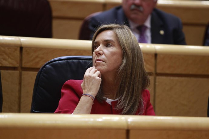 Ana Mato en la sesión de control al Gobierno del Senado 