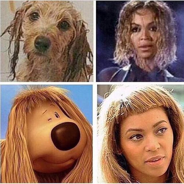memes peinado Beyonce