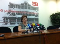 El PSOE valora positivamente la puesta en marcha de aulas terapéuticas