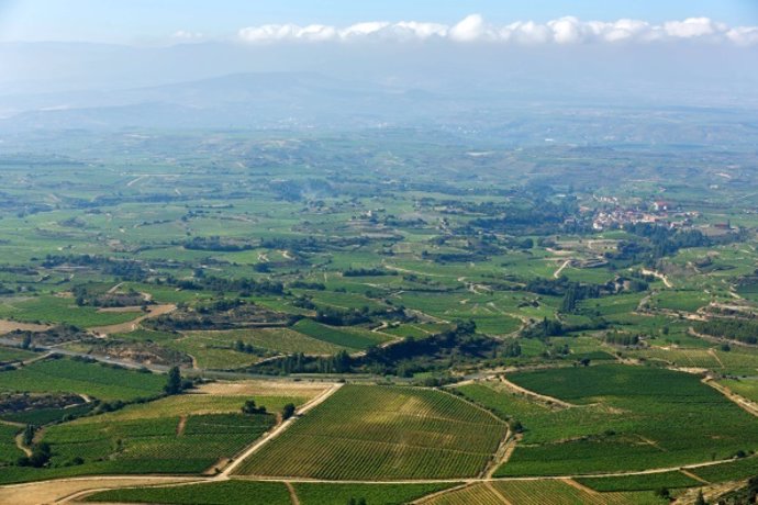 La Rioja, destino de los turistas amantes del vino