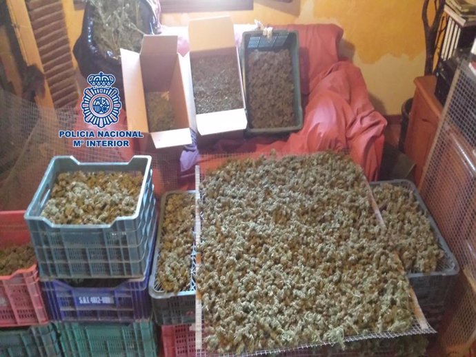 Marihuana decomisada en una operación policial