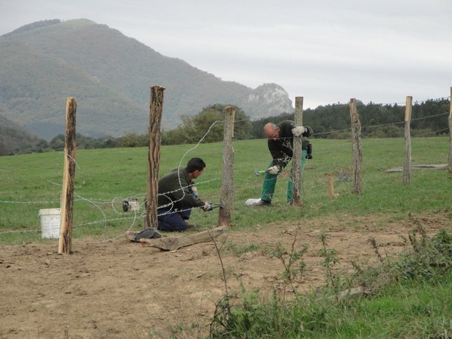Actuación de Obra Social La Caixa en la Cañada Real de Navarra.