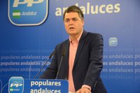 PP-A pide que comparezcan altos cargos por denuncias de "saqueo documental"