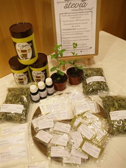Stevia edulcorante natural proyecto diputación crear empleo cultivar 