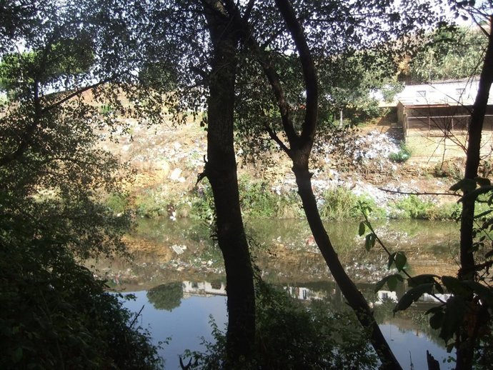 Vertedero denunciado por la organización.