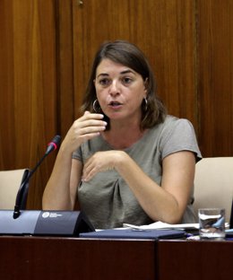 Elena Cortés, en comisión parlamentaria