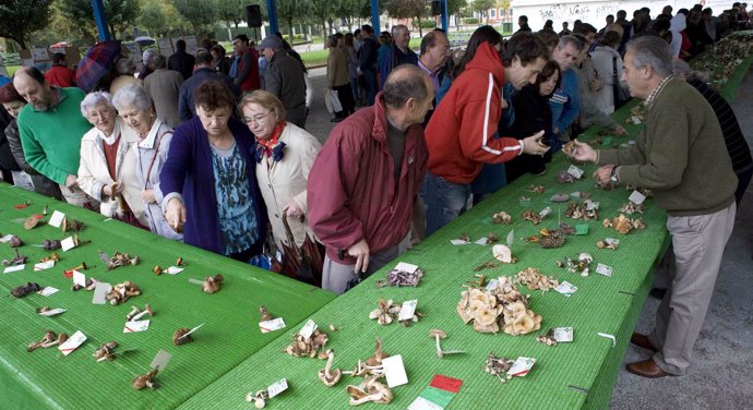 Exposición de setas de la Sociedad Micológica en Cros