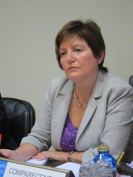 Rocío Mosquera en la comisión de presupuestos