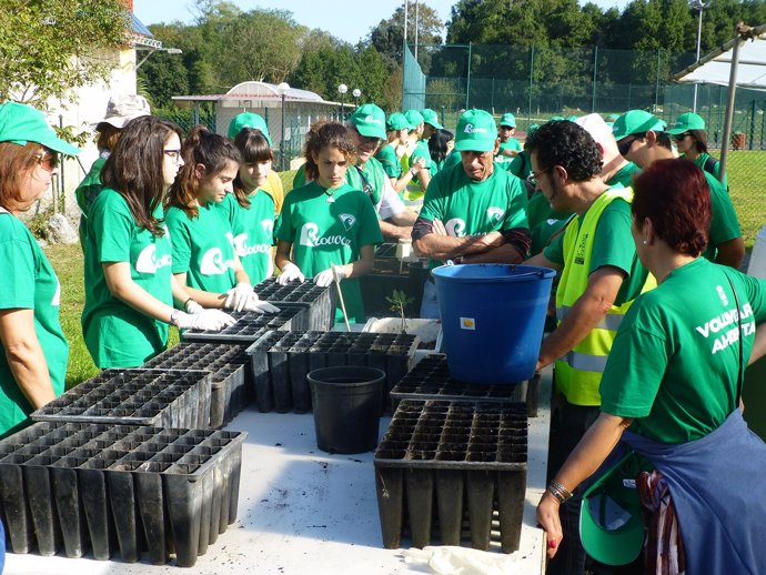 Los voluntarios hacen una siembra en el vivero de Bosques de Cantabria