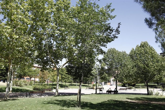 Buen tiempo. Sol. Altas temperaturas. Parque. 