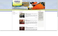 Cofely, empresa de la trama, borra de su web las noticias de adjudicaciones con alcaldes implicados