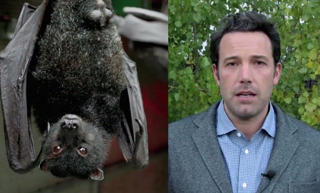 Ben Affleck quiere salvar a los murciélagos
