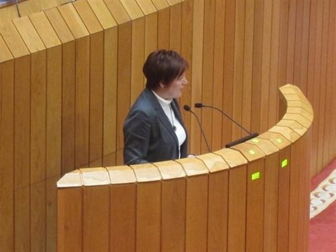 Rocío Mosquera, En El Parlamento