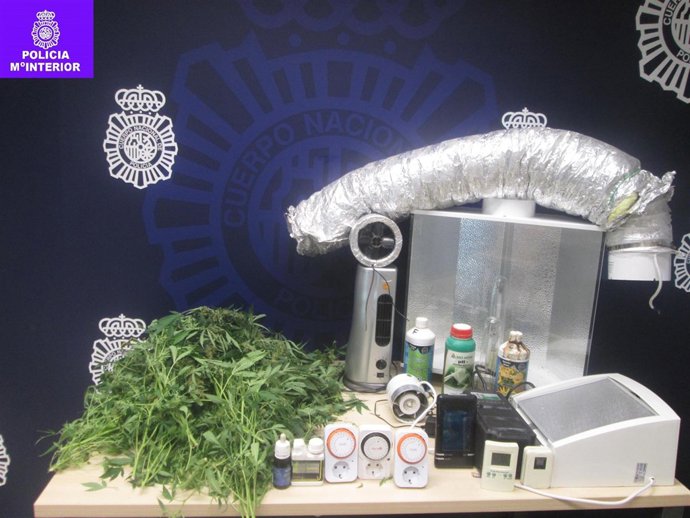 Plantas y efectos intervenidos