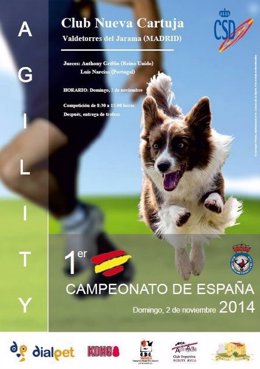 Primer campeonato de Agility en España