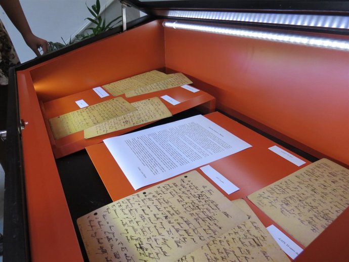 Textos de 'Platero y yo'  traducidos al inglés por Zenobia.