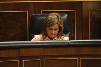 Mato: "Un niño nunca tiene que sufrir las consecuencias económicas de los padres"