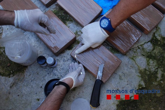 Desmantelan la mayor organización de tráfico de heroína en Catalunya