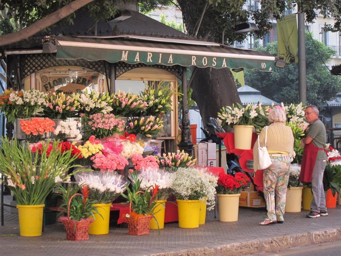 Santos, Día de todos los santos, difuntos, Flores, flor, colores